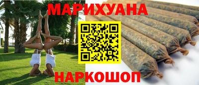 Альфа ПВП Малгобек
